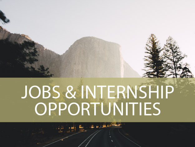Jobs and Internship Opportunities