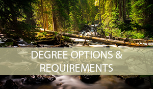 Degree Options and Requirements