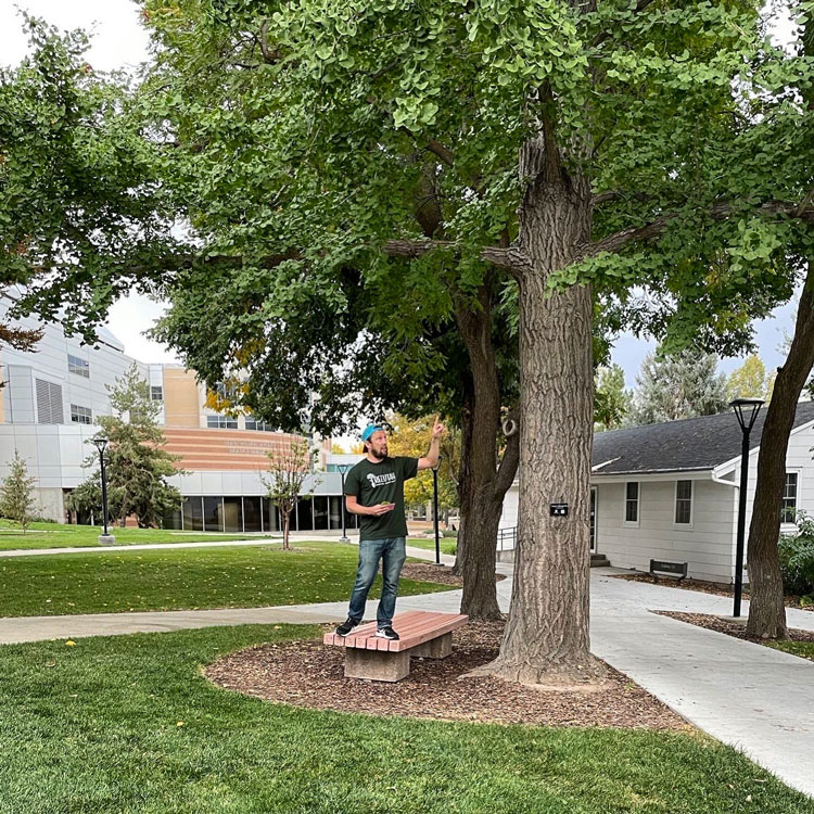 Sam stands on a bench and points to a tree during the campus tree tour.