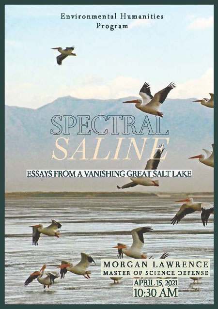 Morgan Lawrence defense poster, image of pelicans flying over the Great Salt Lake. Text says Spectral Saline: Essays From a Vanishing Great Salt Lake. 