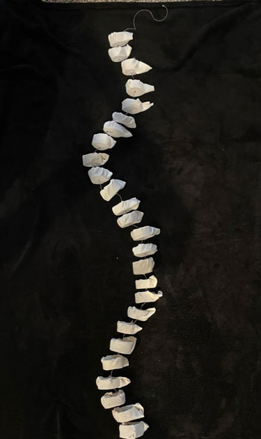 Image of art, white rocks strung together to looks like a curved spine.