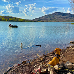 From the shore of Kolob Lake at Zion NP